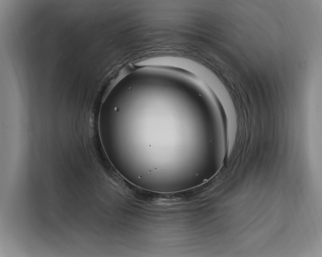 X0000112390556200908271342