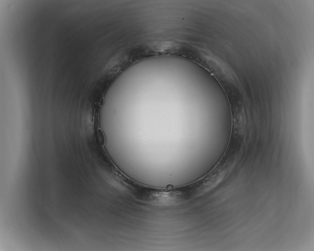 X0000112390558200908271342