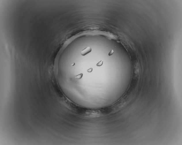 X0000112390559200908271342