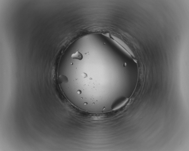 X0000112390560200908271342