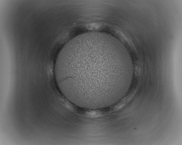 X0000112390561200908271342