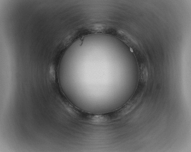 X0000112390562200908271342