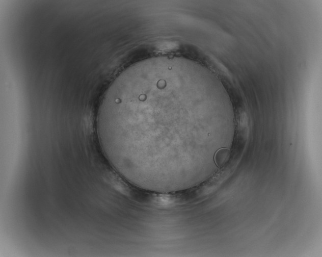 X0000112390565200908271342