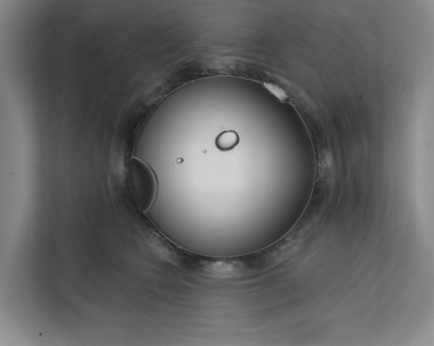 X0000112390566200908271342