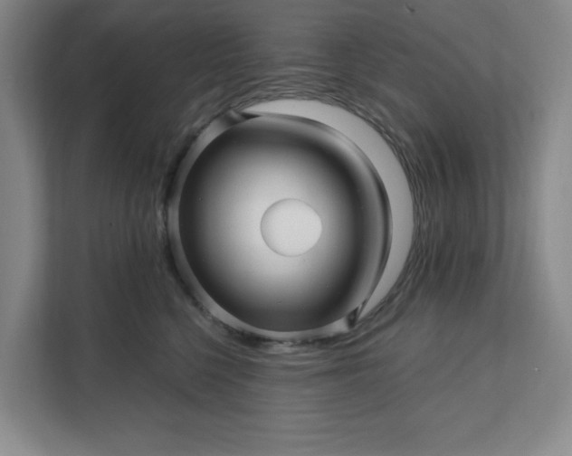 X0000112390568200908271342