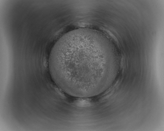 X0000112390569200908271342