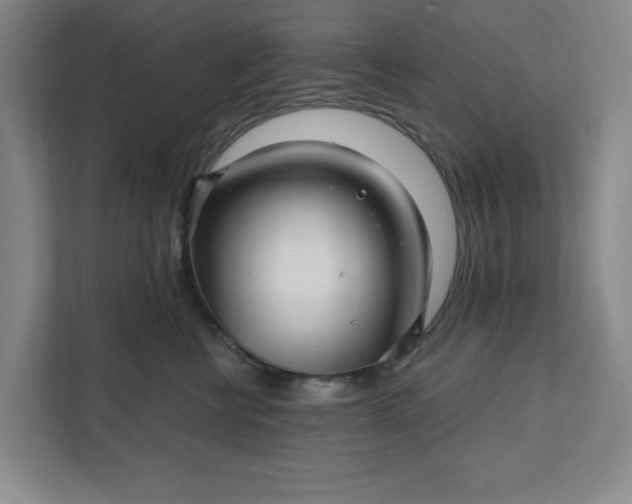 X0000112390570200908271342