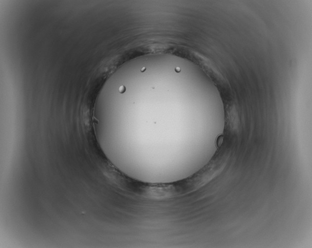 X0000112390571200908271342