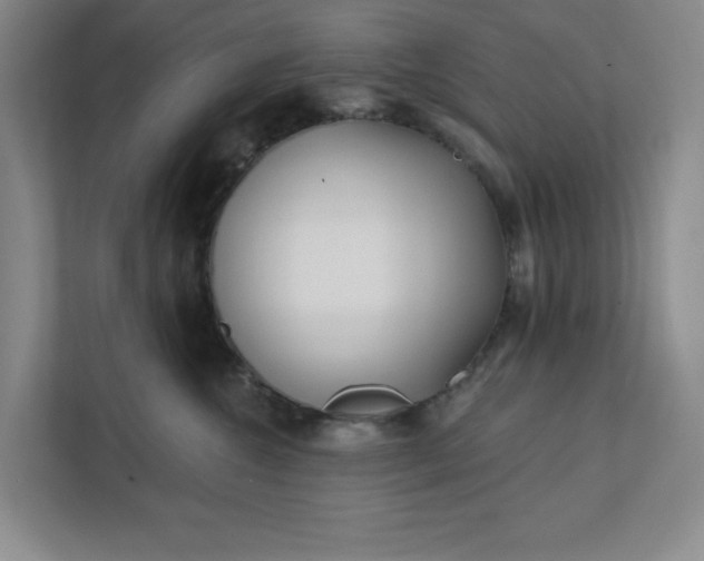 X0000112390572200908271342