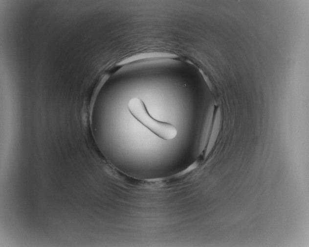 X0000112390576200908271342