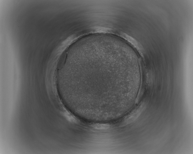 X0000112390577200908271341