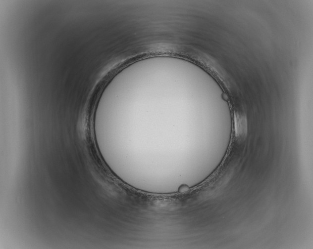 X0000112390579200908271341