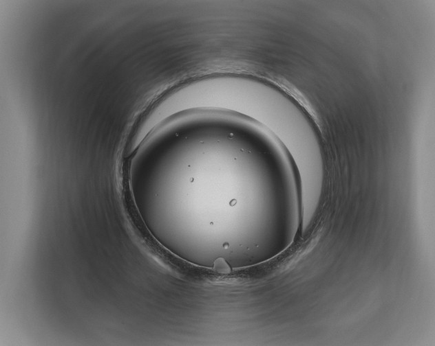 X0000112390581200908271341