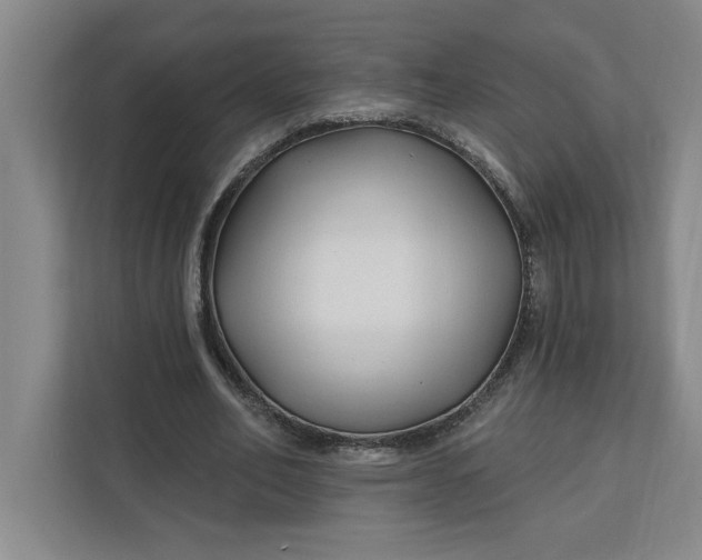 X0000112390582200908271341