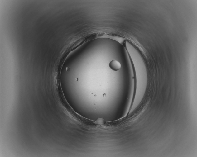 X0000112390585200908271341