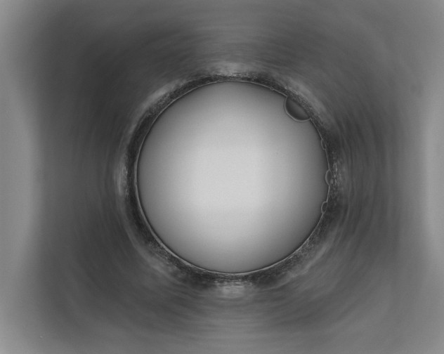 X0000112390587200908271341