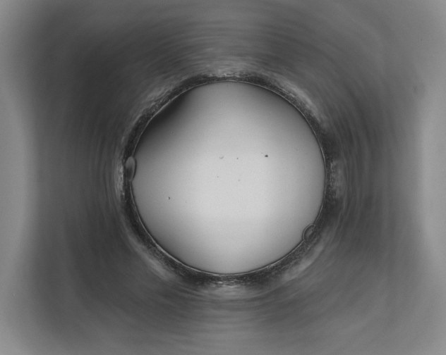 X0000112390589200908271341