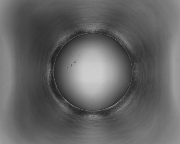 X0000112390590200908271341