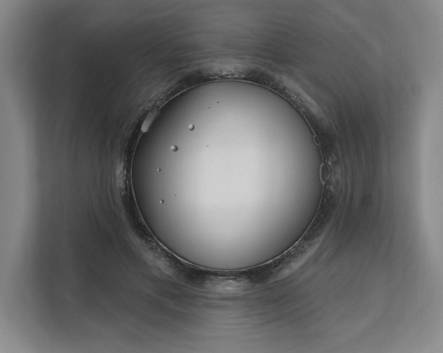 X0000112390597200908271341