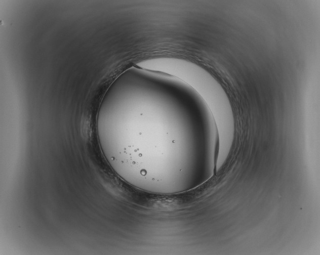 X0000112390599200908271341