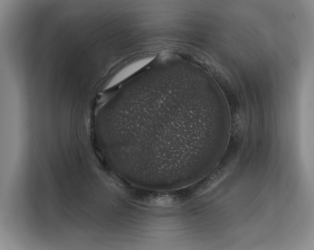 X0000112390600200908271341