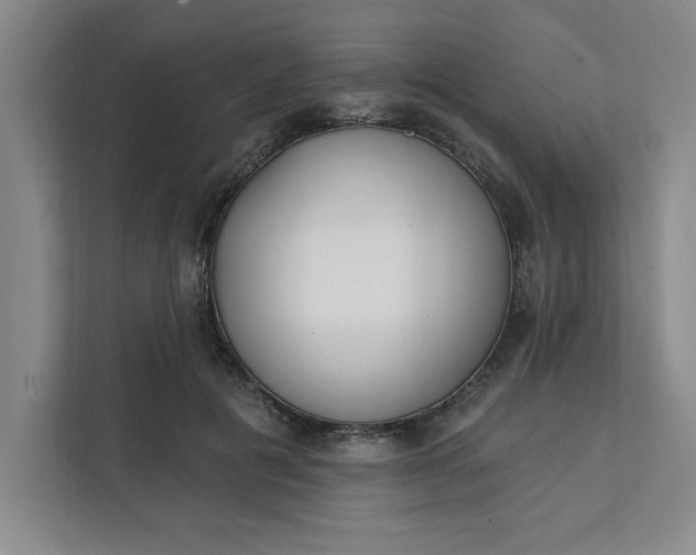 X0000112390601200908271341