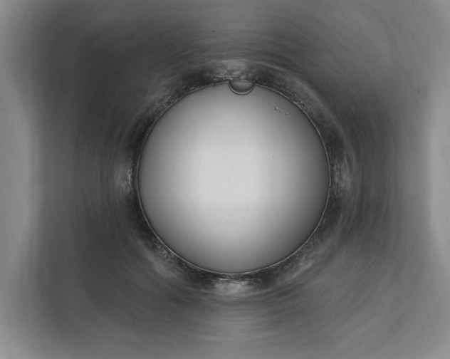 X0000112390602200908271341