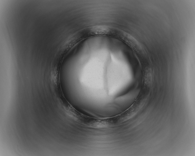 X0000112390604200908271341