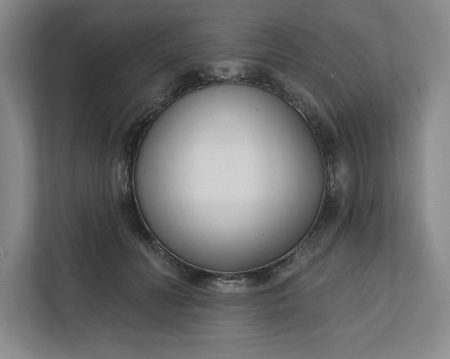 X0000112390606200908271341