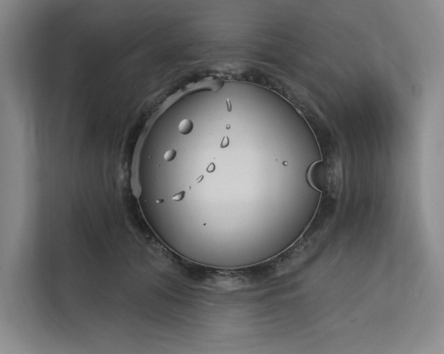 X0000112390608200908271341