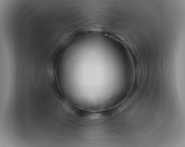 X0000112390609200908271341