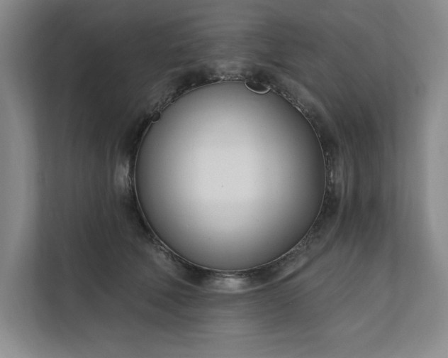 X0000112390610200908271341