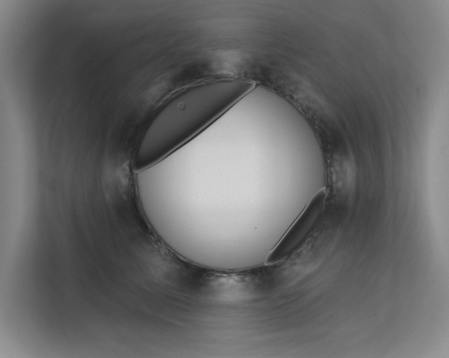 X0000112390611200908271341