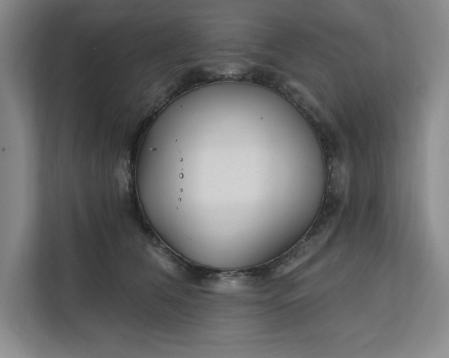 X0000112390612200908271341