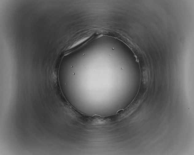 X0000112390613200908271341