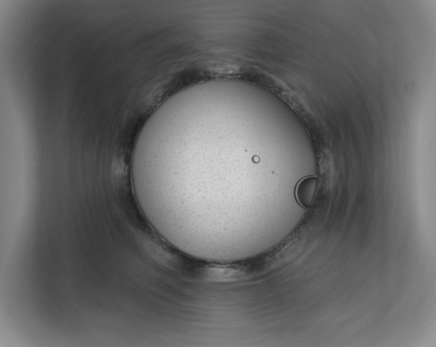 X0000112390614200908271341