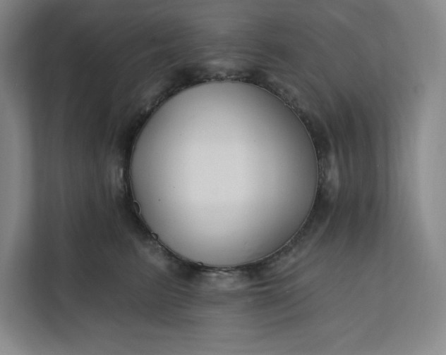 X0000112390615200908271341