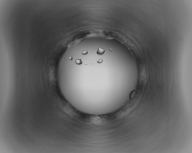 X0000112390616200908271341