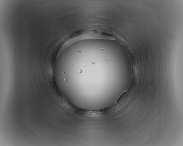 X0000112390617200908271341