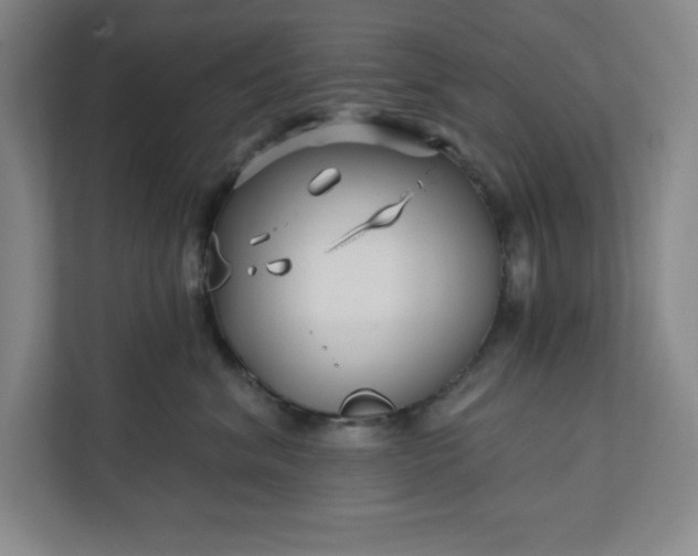 X0000112390620200908271341