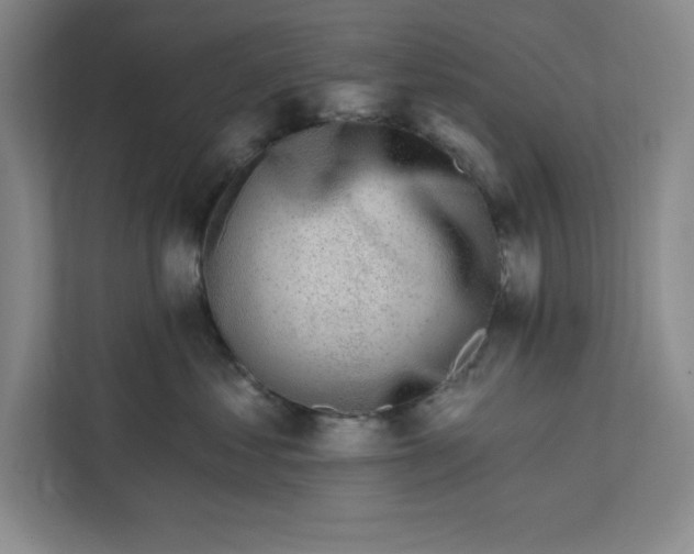 X0000112390621200908271341