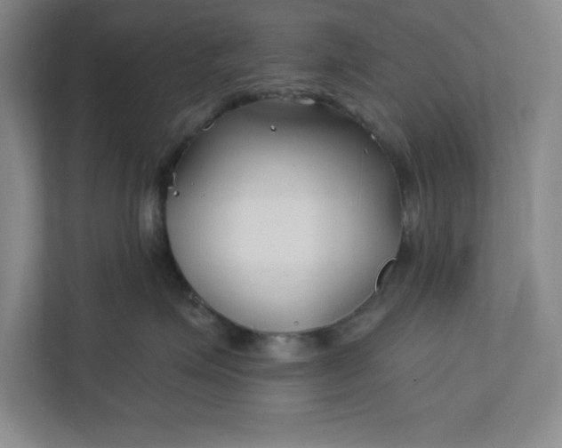 X0000112390623200908271341