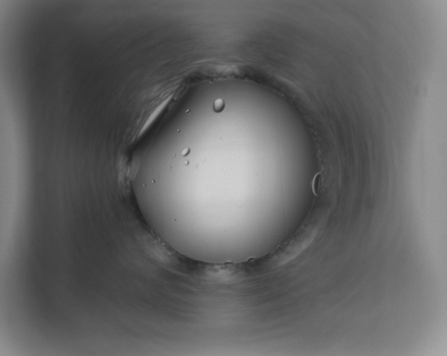 X0000112390624200908271341