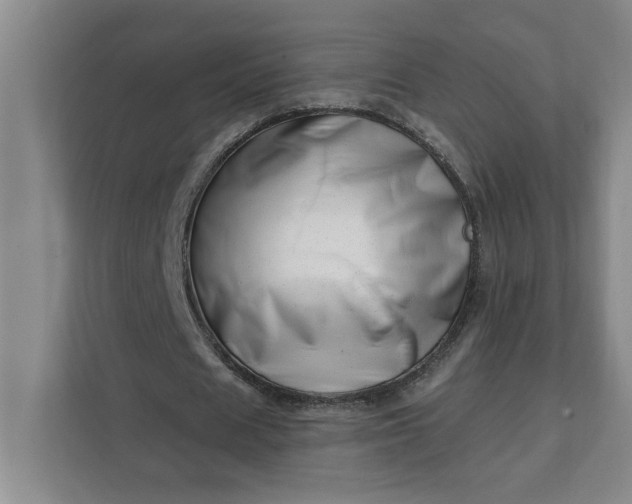 X0000112390625200908271340