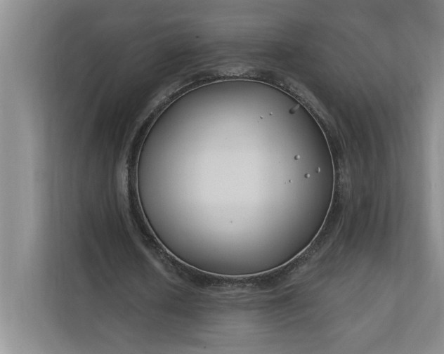 X0000112390626200908271340