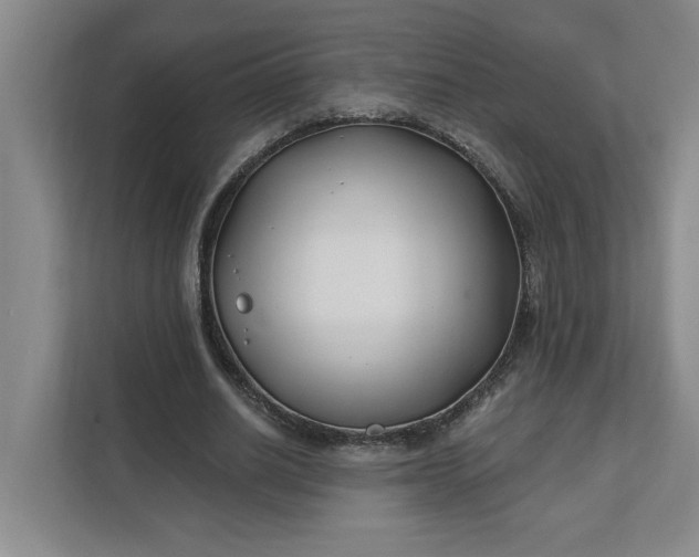 X0000112390630200908271340