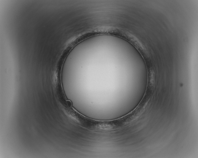 X0000112390636200908271340