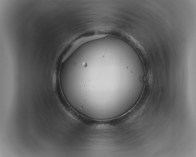 X0000112390637200908271340