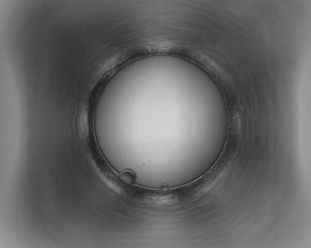 X0000112390638200908271340