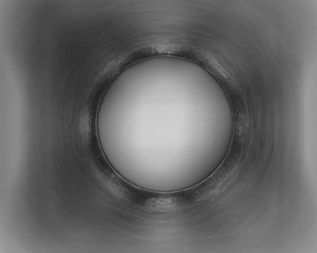 X0000112390639200908271340